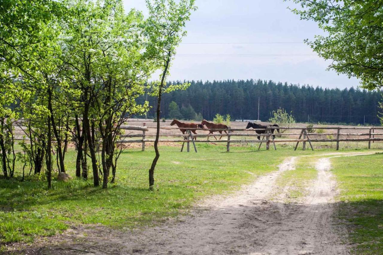 Penzion Eco Dom V Lesu Bila Krynytsia Exteriér fotografie